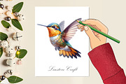 Watercolor Hummingbird Clipart, a Work Illustration by Dream Creation (Thumbnail 2 of 5)