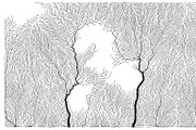 Growth - 50 Backgrounds, a Texture Graphic by GarryKillian (Thumbnail 24 of 51)