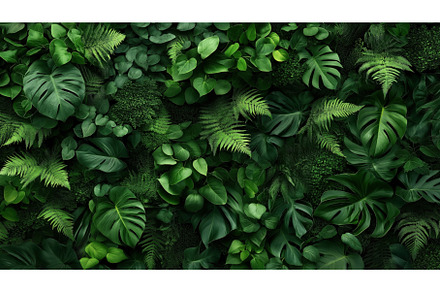 Lush tropical foliage wall featuring, a Nature Photo by Sergey Kotenev