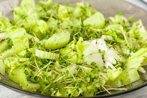 Fresh green microgreen salad on a light blue plate. A natural and organic conce, a Food & Drink Photo by Eugene_Photo