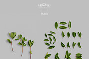 Wedding Mockup Scene Creator Bundle, a Product Mockup by Custom Scene (Thumbnail 17 of 27)