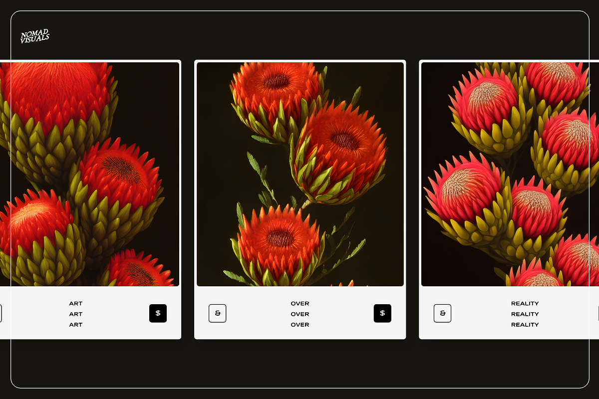 Flowers - Overlays & Illustrations, an Illustration by Nomad Visuals
