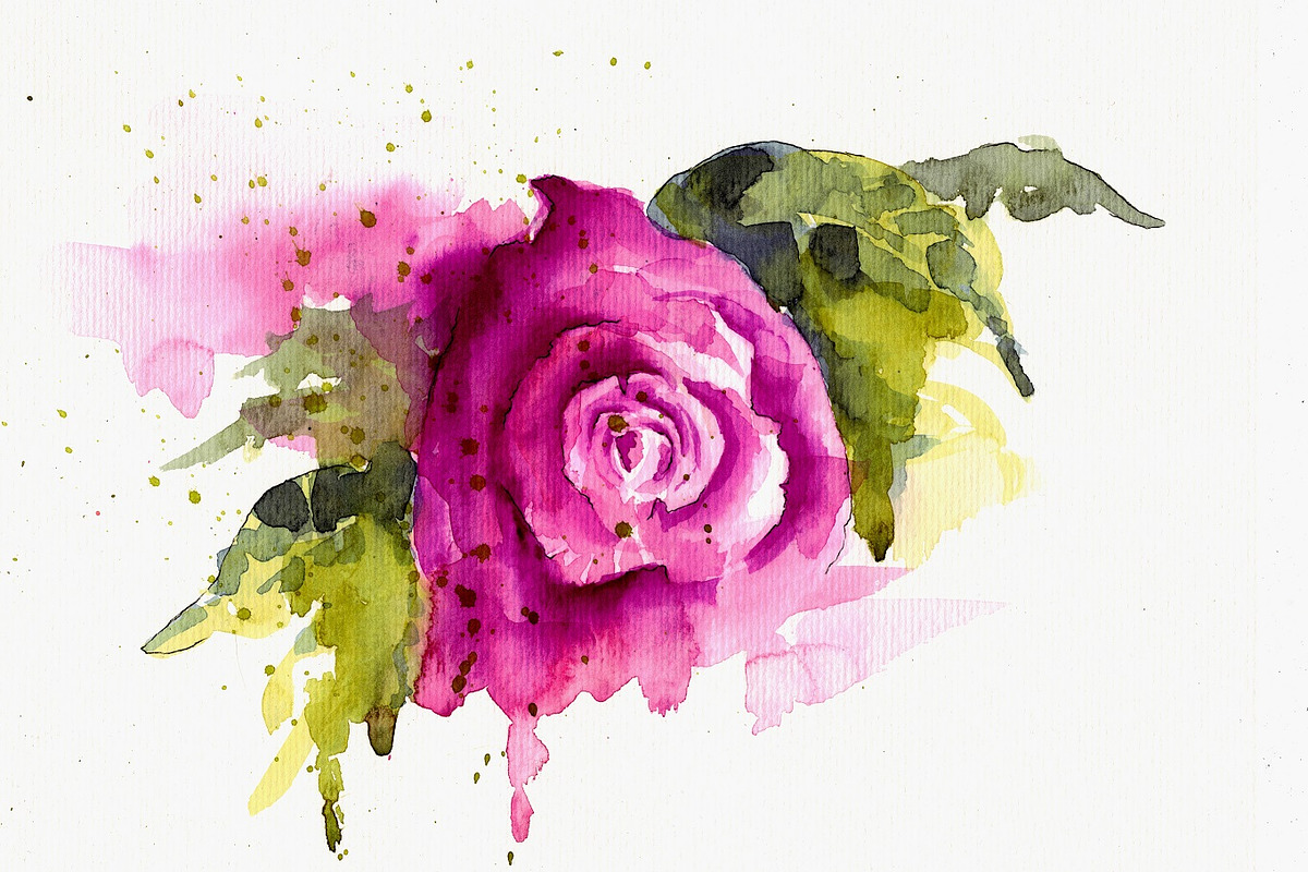 Bundle offer of watercolors, an Animal Illustration by Watercolor_Vector Graphic (Photo 19 of 27)