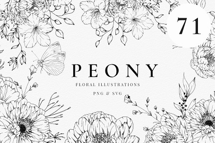 Peonies and Springtime Florals, a Decorative Illustration by AW Studios