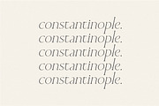 Cedarwood - Classy Serif, a Serif Font by Harmonais Visual (Thumbnail 11 of 19)