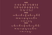 Dahllia Claire Script LS, a Script Font by GranzCreative (Thumbnail 4 of 20)