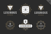 250 ornaments logos & monograms, a Branding & Logo Template by Vasya Kobelev (Thumbnail 3 of 23)