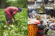 Impressionist Photoshop Action, an Action Add-On by AndriyFM (Thumbnail 11 of 31)