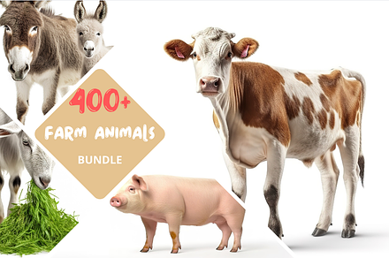 400+ Farm Animals Photo Bundle