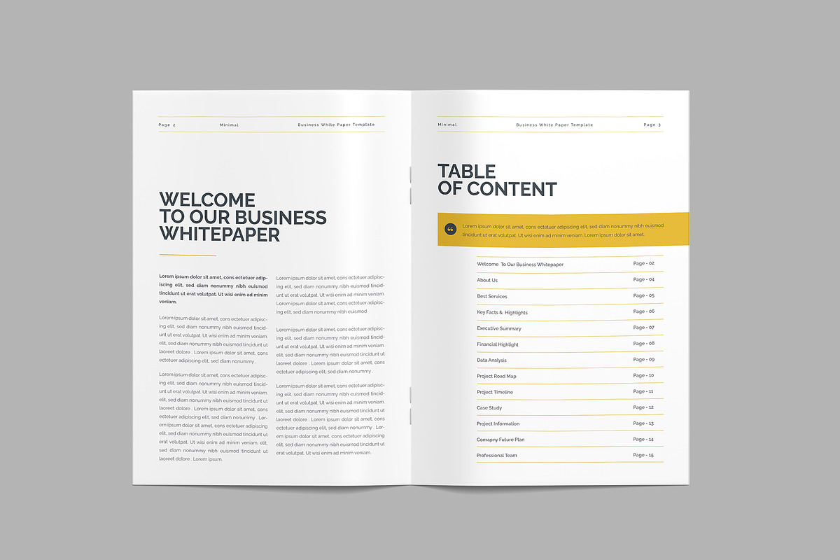 Whitepaper Template, a Brochure Template by afsar.hossain (Photo 7 of 9)