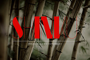 Font Bundle | 25 in 1, a Sans Serif Font by Anthony James (Thumbnail 24 of 45)