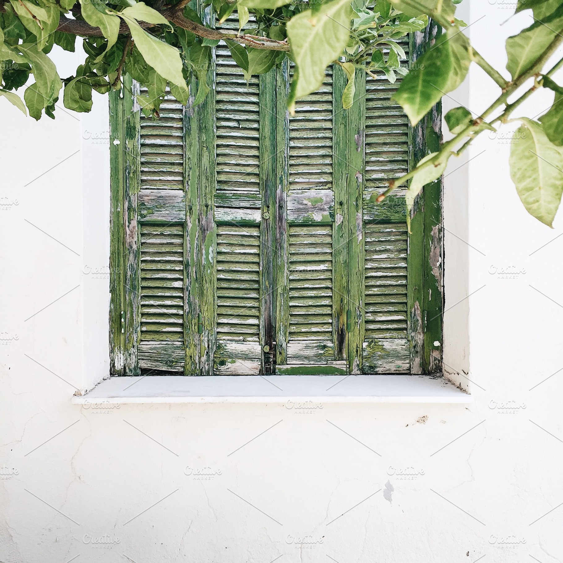 Vintage shutters, an Architecture Photo by Floral Deco