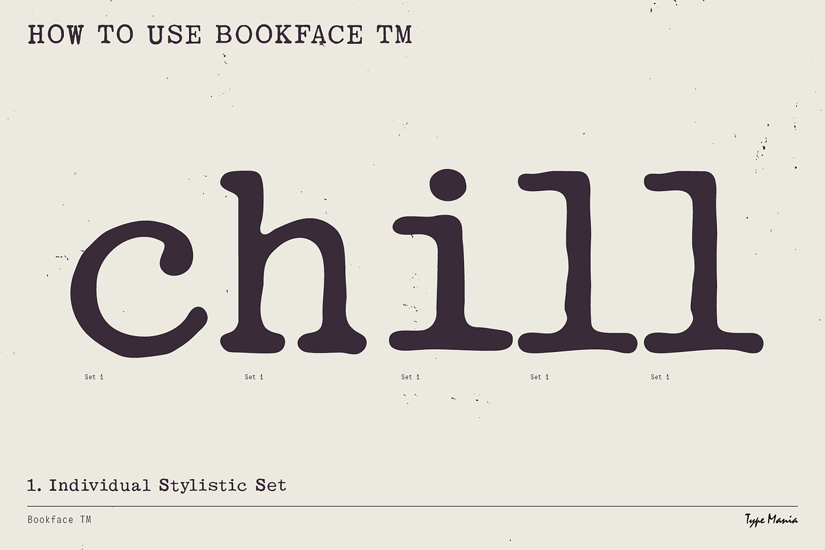 Bookface TM – Dynamic Grunge-y Type, a Slab Serif Font by Type Mania (Photo 5 of 11)