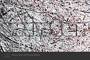 Schuss Sans CG Poster Black, a Sans Serif Font by typic schuss (Thumbnail 13 of 15)