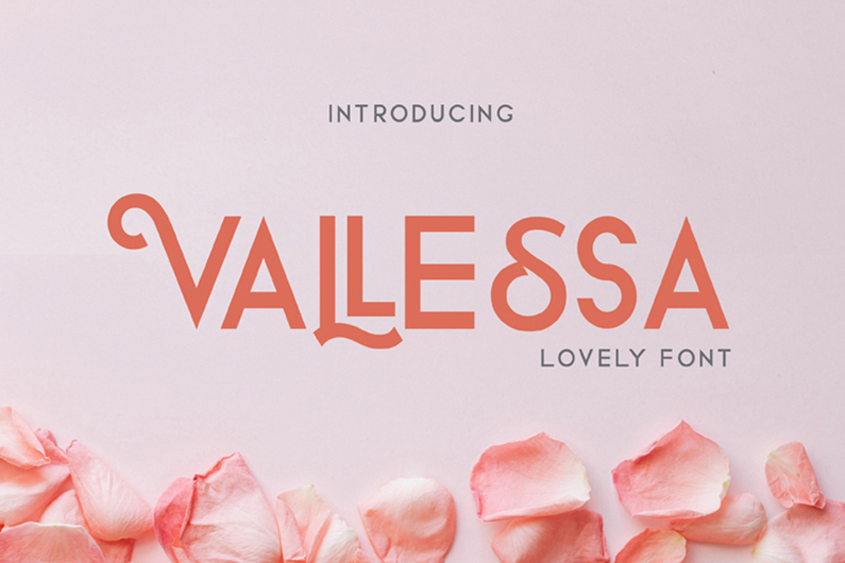 Vallessa, a Sans Serif Font by edcreative (Photo 1 of 9)