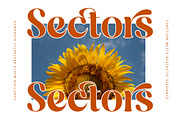Dusty Brothe Groovy Serif Display, a Serif Font by timelesstype.co (Thumbnail 12 of 20)