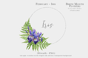 Watercolor Iris Birth Flower Clipart