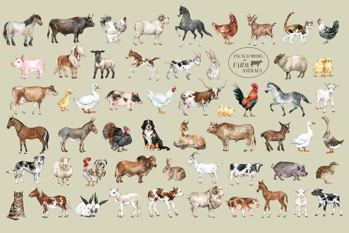 FARM ANIMALS Encyclopedia, an Animal Illustration by Anastezia Luneva (Photo 2 of 14)
