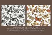 Seamless Butterflies Moth insects, a Pattern Graphic by Vintage (Thumbnail 2 of 13)