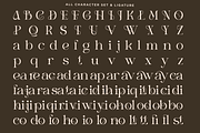 Pear Haresh - Modern Ligature Serif, a Serif Font by RagamKata (Thumbnail 9 of 10)