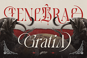 Moonscythe, a Serif Font by Artisan Themes (Thumbnail 10 of 12)