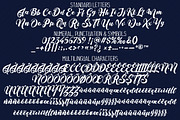 Aristonia Script, a Script Font by Royaltype (Thumbnail 6 of 6)