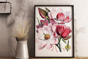 Vintage floral illustration painted