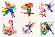 Tropical Bird Png, Jungle Bird Clipa, an Illustration by CreationArt (Thumbnail 8 of 9)