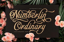 Numberline Ordinary - Script Font