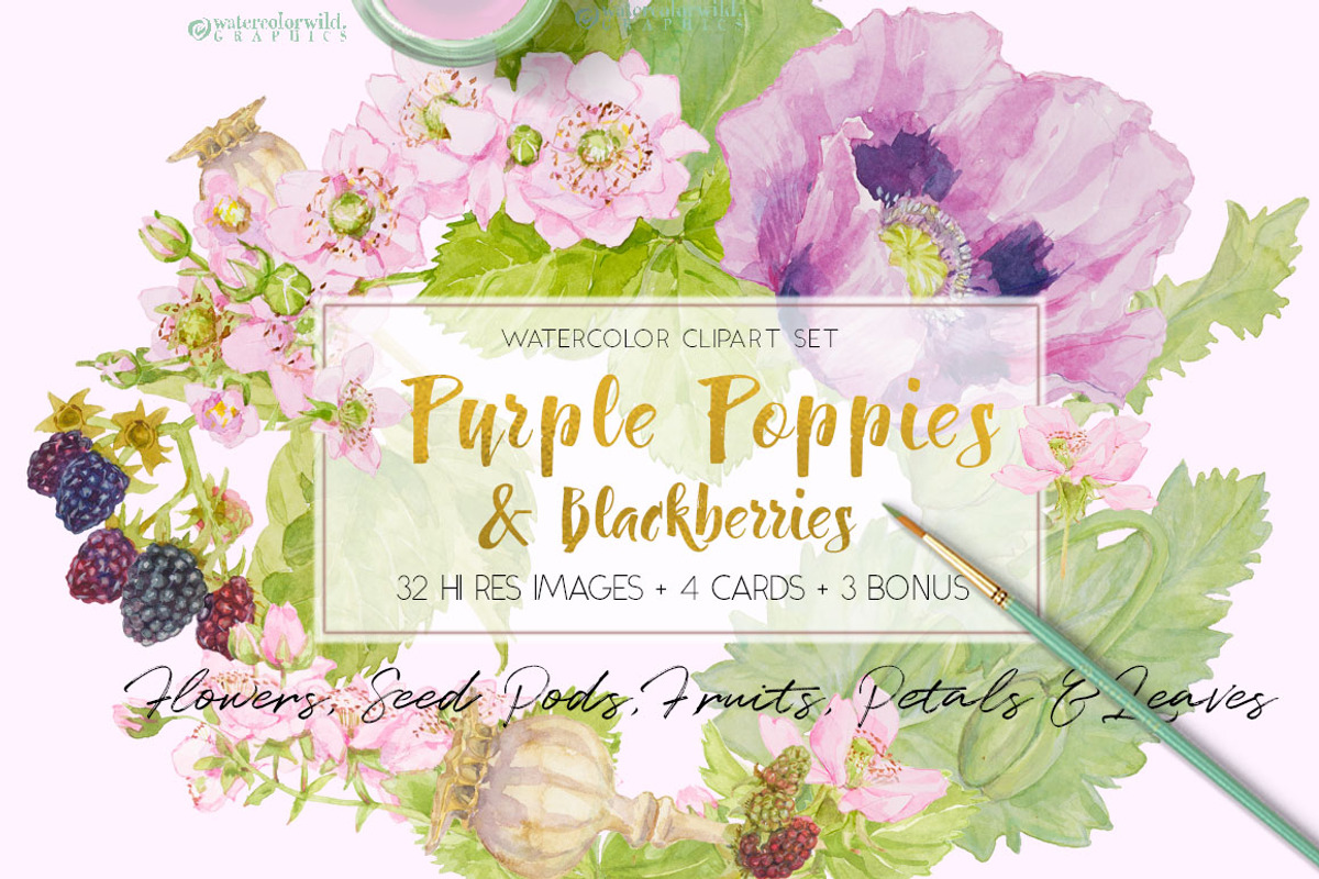 BUNDLE PINK FLOWERS-85%, an Illustration by watercolorwild.graphics (Photo 9 of 11)