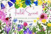 Field Watercolor Flowers, an Object Graphic by JSolomatina (Thumbnail 1 of 5)