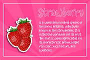 Little CLusters, a Font by Abo Daniel Studio (Thumbnail 8 of 15)