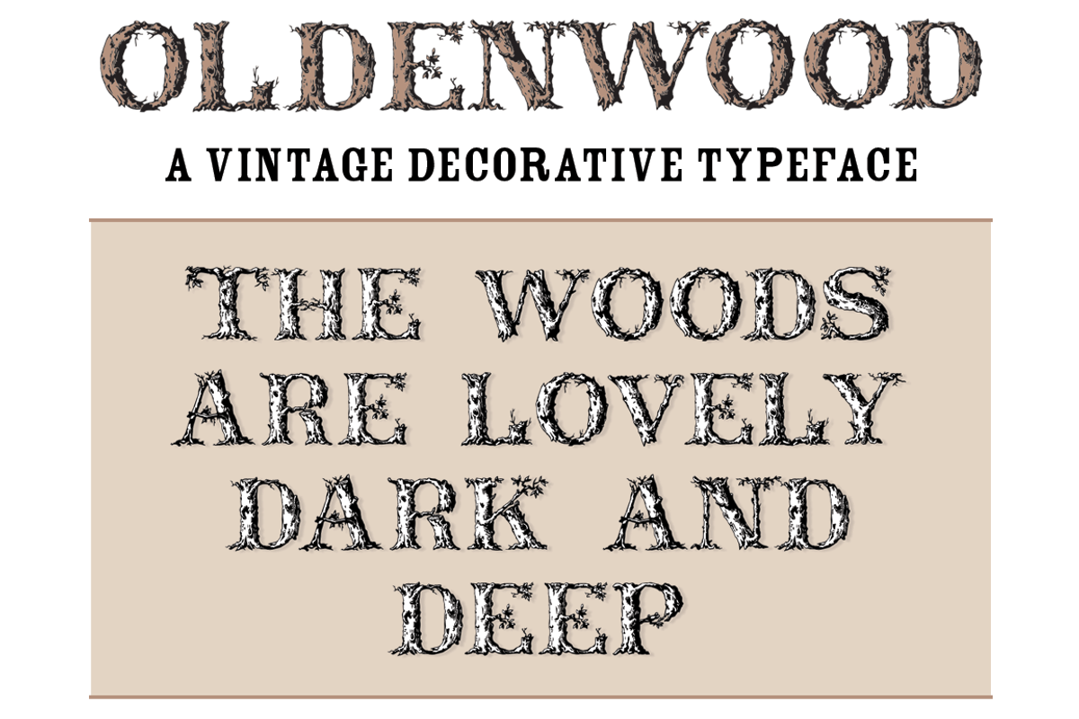 Font: Oldenwood - Caps Only preview 3