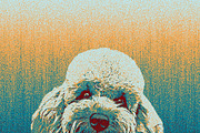 Grain Retro Poster Effect, an Action Add-On by MRI STUDIO (Thumbnail 13 of 14)
