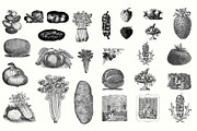Electrotype Stock Cuts, an Animal Illustration by Blue Line Design (Thumbnail 5 of 19)