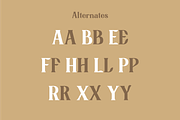 Jensynn, a Serif Font by Studio One Four (Thumbnail 5 of 11)