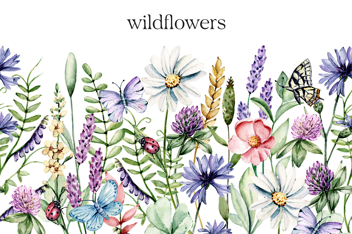 SALE! Watercolor set wild flowers., an Illustration by Larisa Maslova (Photo 1 of 9)