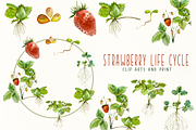 Big Life Cycle Bundle, an Education Illustration by Tati Bordiu (Thumbnail 3 of 43)