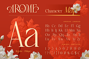 Arome, a Serif Font by Burntilldead (Thumbnail 2 of 12)