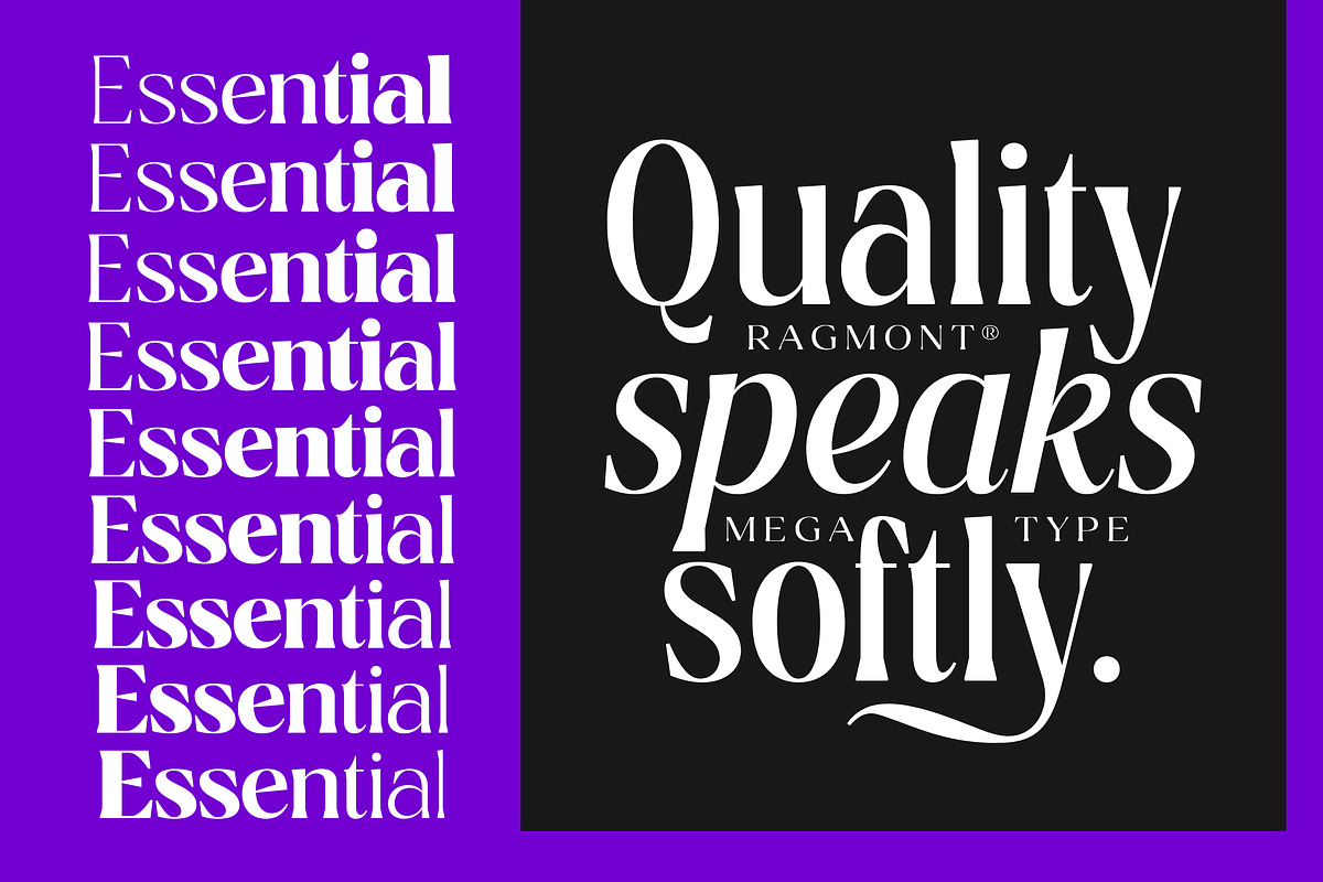 Ragmont Serif, a Serif Font by Megatype (Photo 12 of 15)