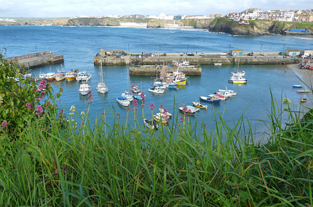 Boats in Newquay Harbour