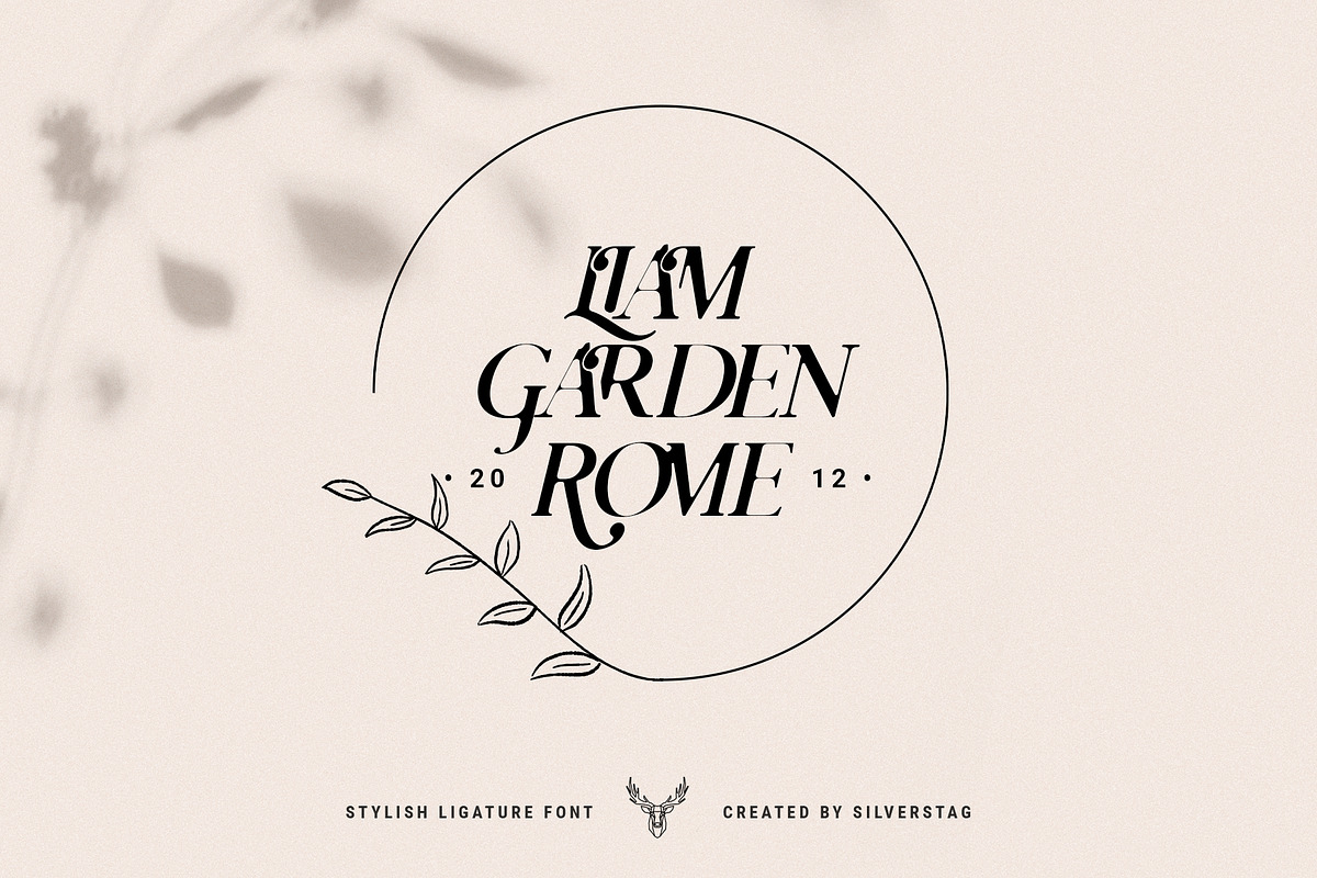 Charles - Ligature Serif Font Family, a Serif Font by SilverStag Type Foundry (Photo 19 of 32)