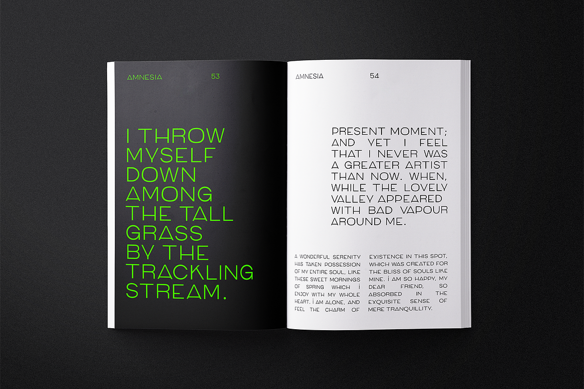 Mango Grotesque, a Sans Serif Font by Studio DC (Photo 6 of 10)