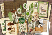 Forest Scrapbooking Kit, an Animal Illustration by Secret Helper (Thumbnail 5 of 9)