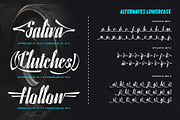 Handbird Script Font, a Script Font by alit design (Thumbnail 11 of 15)