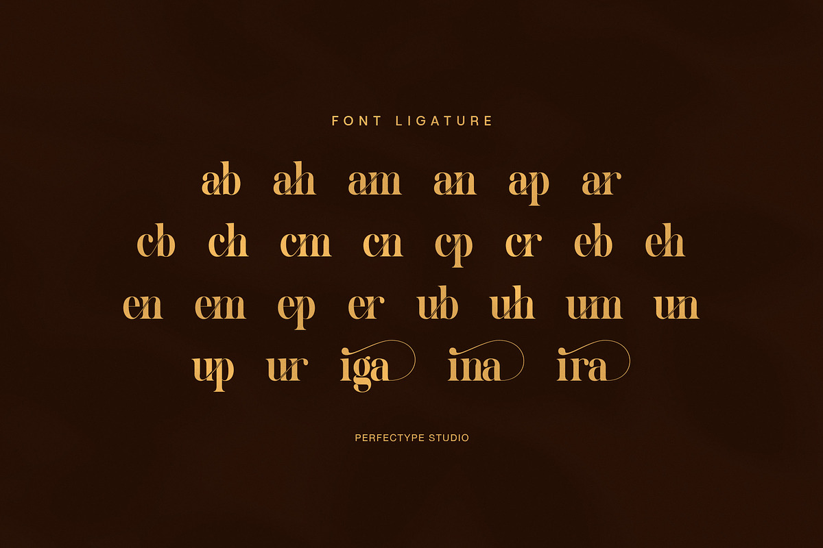 Geliga Elegant Serif Font, a Serif Font by Perfectype (Photo 8 of 8)