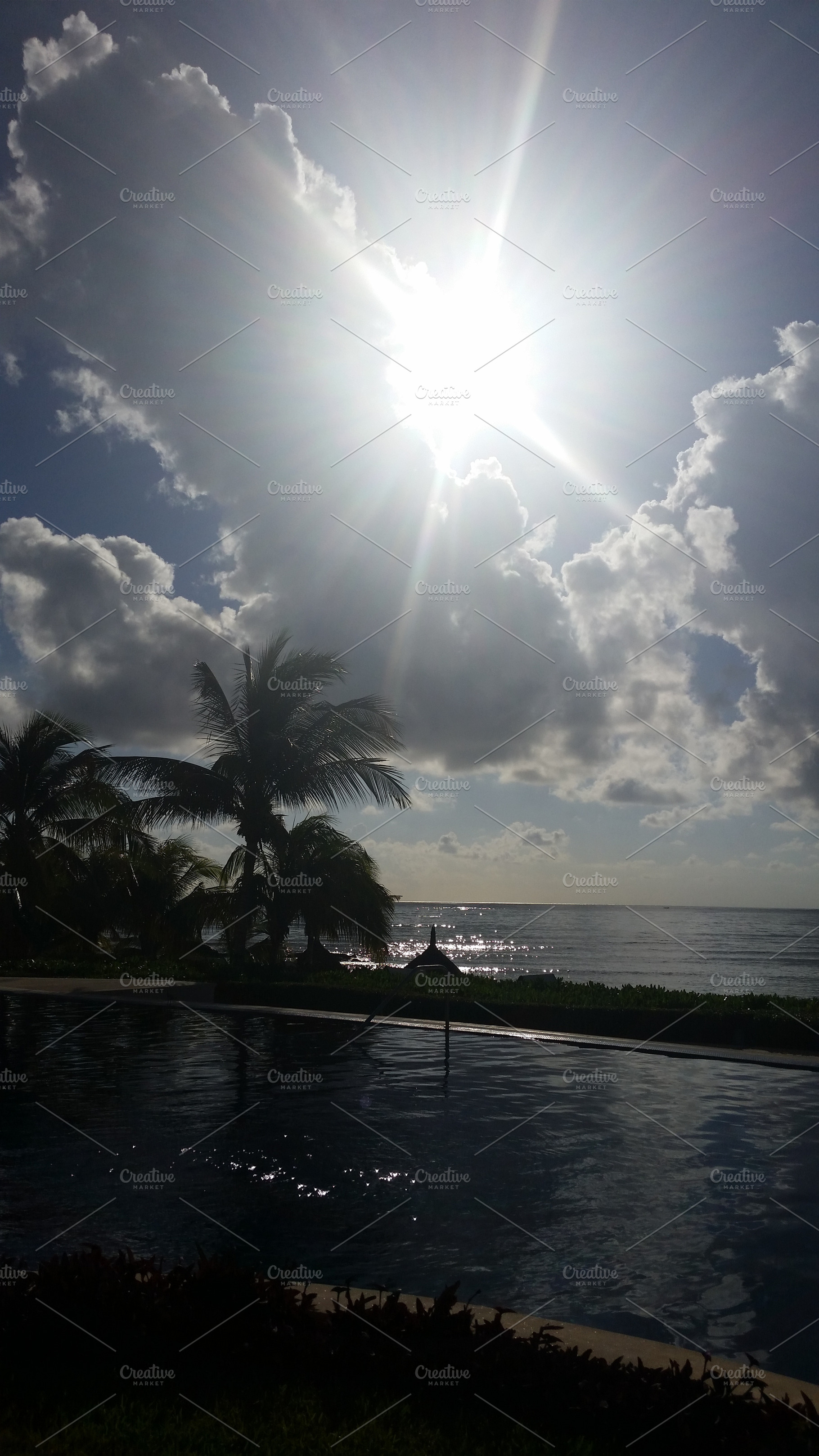 Sunburst & Clouds with Palm Trees, a Nature Photo by Cordial Punch Press