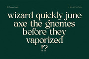OV Treasure Retro Serif Font Family, a Serif Font by OV Type (Thumbnail 16 of 21)