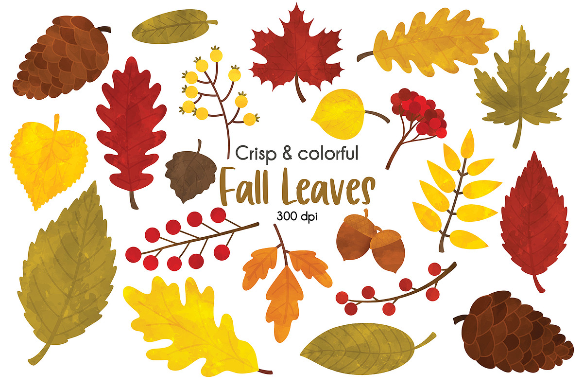Fall Leaves Clipart, an Illustration by SugarPickle Clip Art (Photo 1 of 3)