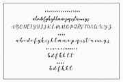 Martinesse - Beautiful Script Font, a Script Font by Sronstudio (Thumbnail 13 of 14)